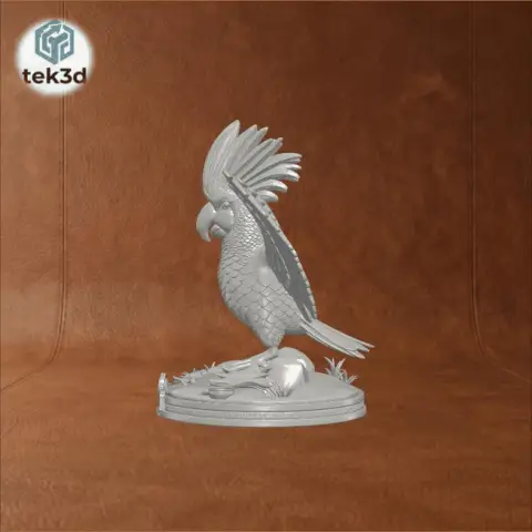 Cockatoo: Majestic Crested Parrot 3D Model