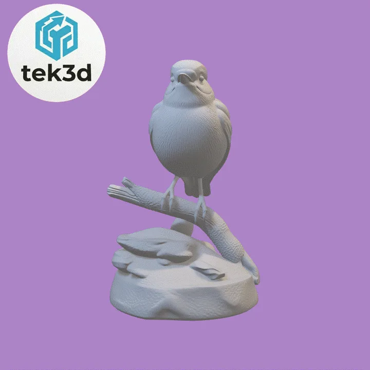 SABLON.gif