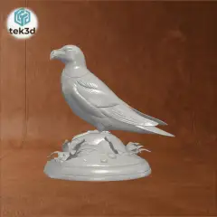 CCR10MAX_f16f523068929b63fe8fafb45b04cc7d_y.gif