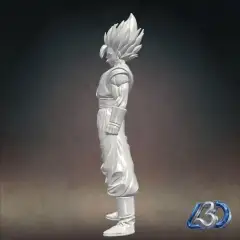 jpg_frame_00.jpg