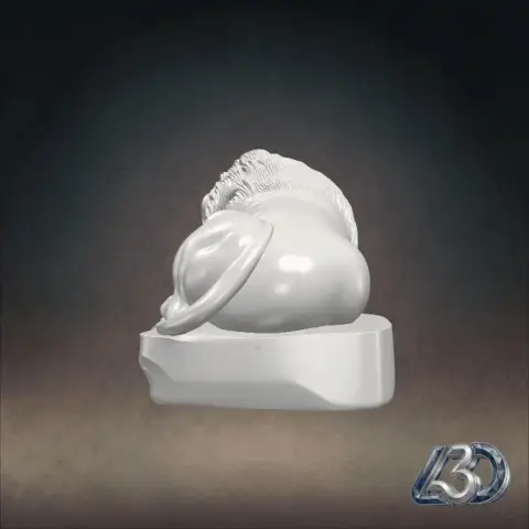 The Sleeping Lion