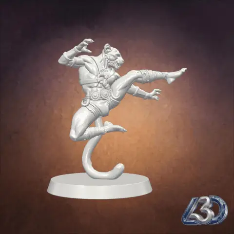 Tabaxi Monk Flying Kick