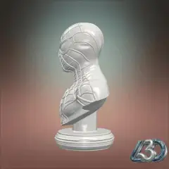 spiderman bust_y.gif