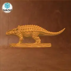 jpg_frame_00.jpg