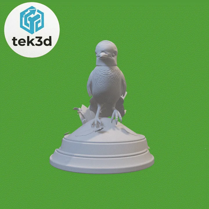 SABLON.gif