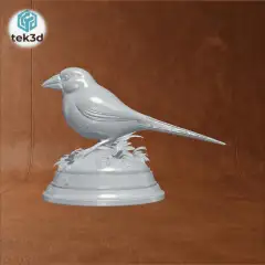 CCR10MAX_df42fa7012d02842d5c55bb2acea78b6 (1)_y.gif