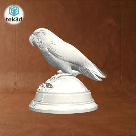 Kea: The Intelligent Alpine Parrot 3D Model